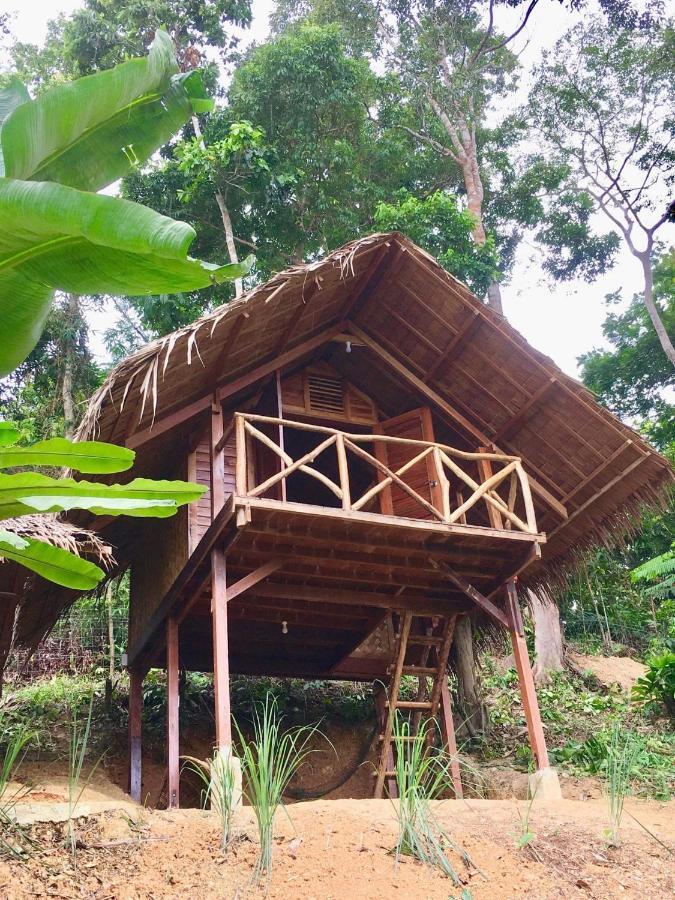 Hill Restaurant & * San Vicente (Palawan)